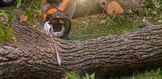 Best Lawn Drainage Solutions  in North New Hyde Park, NY